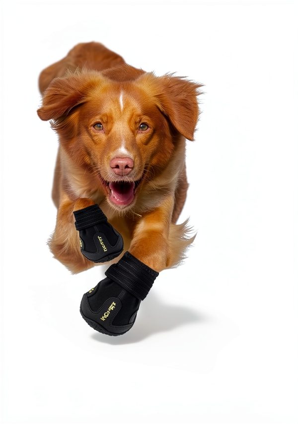 Hcpet Dog Boots Waterproof Reflective Anti Slip Paw-3