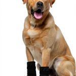 MUSIMC Dog Boots Waterproof Anti Slip Reflective Pet Shoes-0