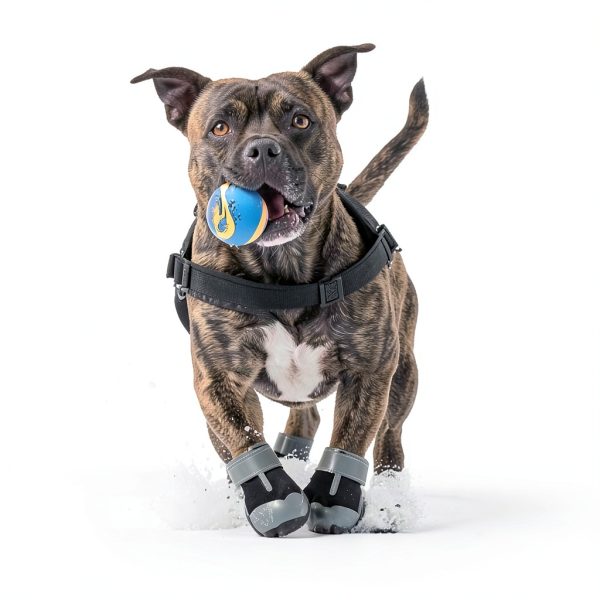 Jzxoiva Dog Boots Leopard Print Waterproof Paw Protection-6