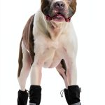 Canada Pooch Dog Boots Water Resistant Fleece Lined Outdoor-0