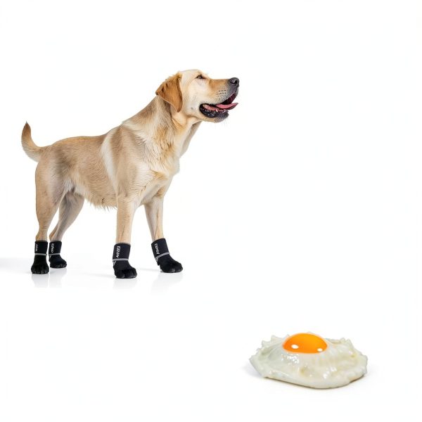 EXPAWLORER Dog Boots Waterproof Adjustable Paw Protector-2